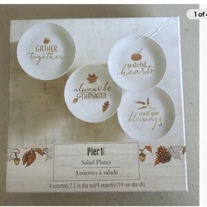 Pier 1 Thanksgiving salad plates